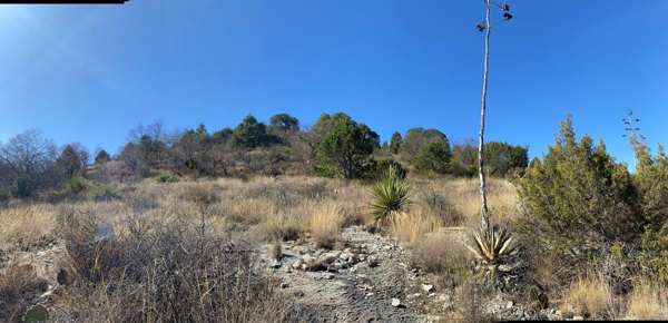 Terreno en venta en San Antonio de las Alazanas, Arteaga — foto 3 de 6