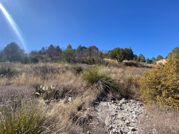 Terreno en venta en San Antonio de las Alazanas, Arteaga — foto 2 de 6