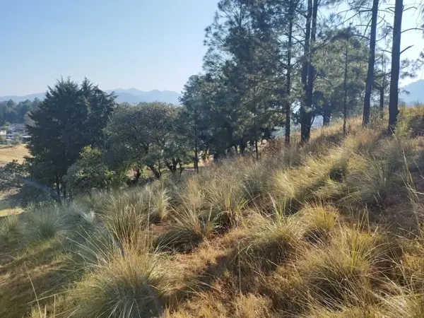 Terreno en venta en Mezapa la Fábrica, Xalatlaco — foto 3 de 14