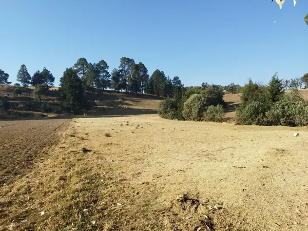 Terreno en venta en Mezapa la Fábrica, Xalatlaco — foto 2 de 14