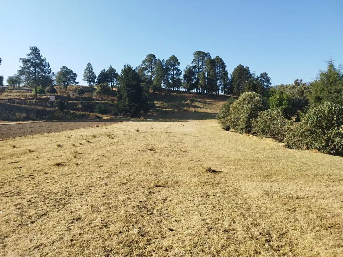 Terreno en venta en Mezapa la Fábrica, Xalatlaco — foto 1 de 14