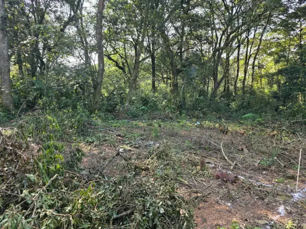 Terreno en venta en Rafael Delgado, Rafael Delgado — foto 2 de 4