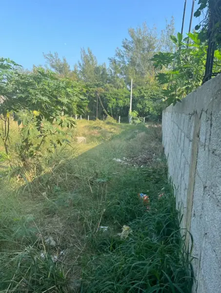 Terreno en venta en Miramar I, Ciudad Madero — foto 3 de 5