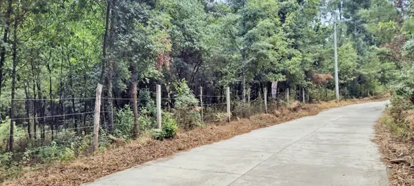 Terreno venta bosque cabañas Terreno venta bosque cabañas