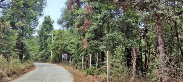 Terreno en venta en La Huerta San Agustín, Valle de Bravo — foto 2 de 12