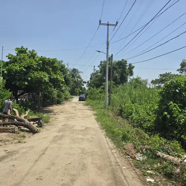 Terreno en venta en González 1ra. Sección, Centro — foto 3 de 4