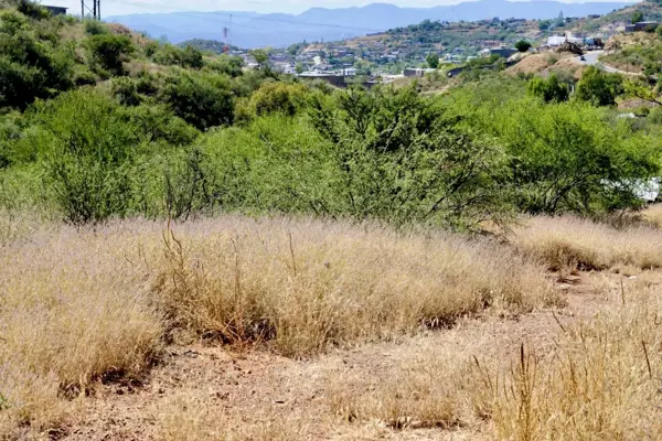 Terreno en venta en Santa María del Oro Centro, El Oro — foto 3 de 11