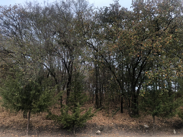 Terreno en venta en Campestre Haras, Amozoc — foto 3 de 28