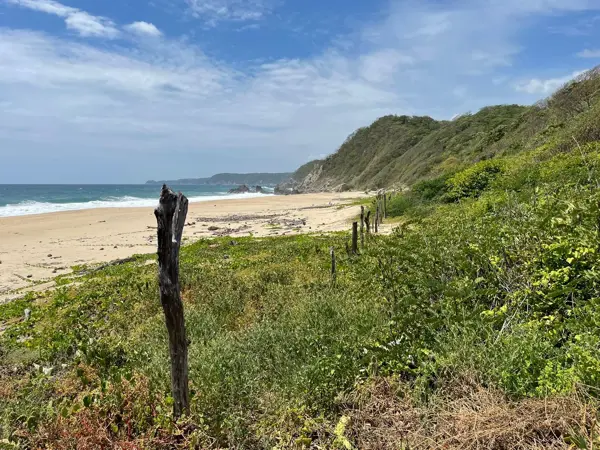 Terreno en venta en La Ciénega III, San Pedro Pochutla — foto 2 de 14