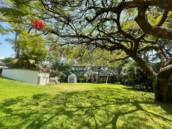 Casa en venta en Vista Hermosa, Cuernavaca — foto 3 de 24