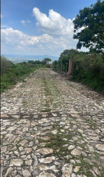 Terreno en venta en Cajititlan, Tlajomulco de Zúñiga — foto 3 de 8