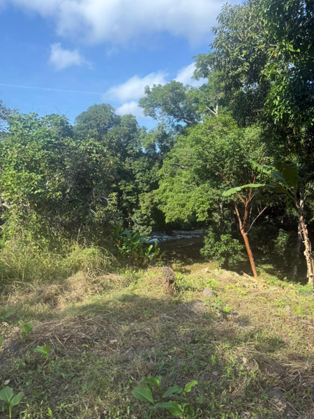 Terreno en venta en Villa Nueva, Actopan — foto 3 de 16