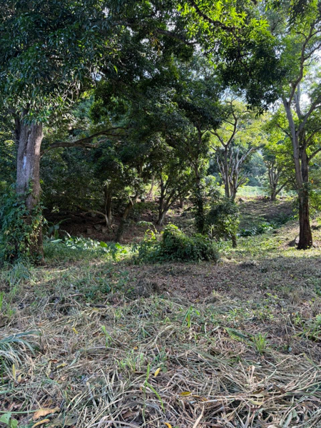 Terreno en venta en Villa Nueva, Actopan — foto 2 de 16