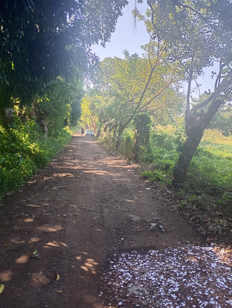 Terreno en venta en El Tejar, Medellín de Bravo — foto 2 de 9