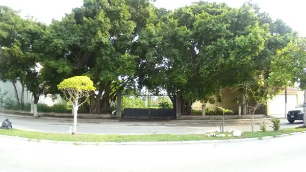 Renta – Av. Castellot, Col. Miami