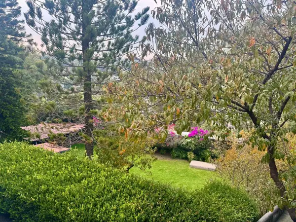 Edificio en venta en Olivar de los Padres, Álvaro Obregón — foto 3 de 9
