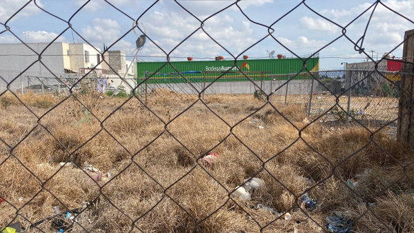 Terreno en renta en Paseos del Marques, El Marqués — foto 3 de 4