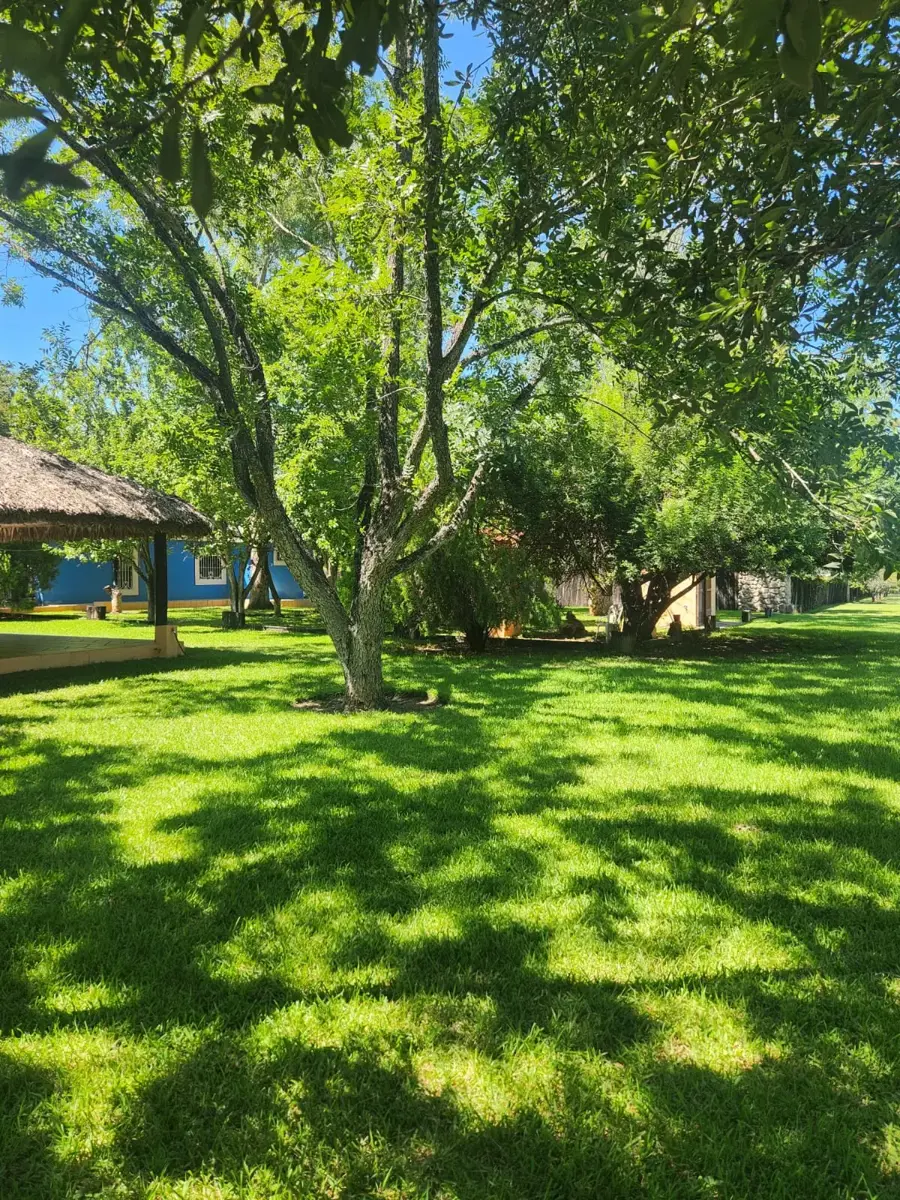 Quinta en venta en Colinas del Vergel, Allende — foto 1 de 51