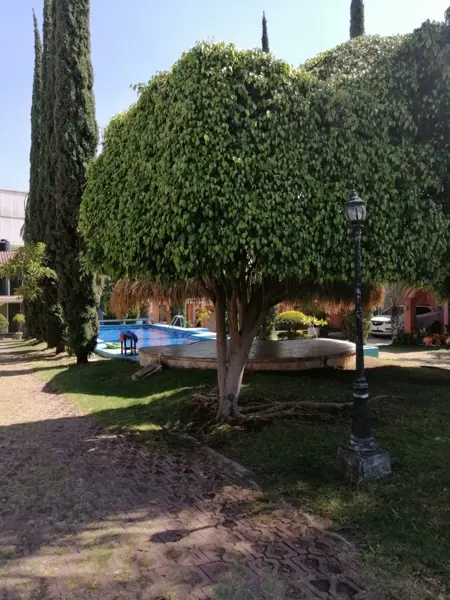 Casa en renta en Empleado Postal, Cuautla — foto 3 de 13