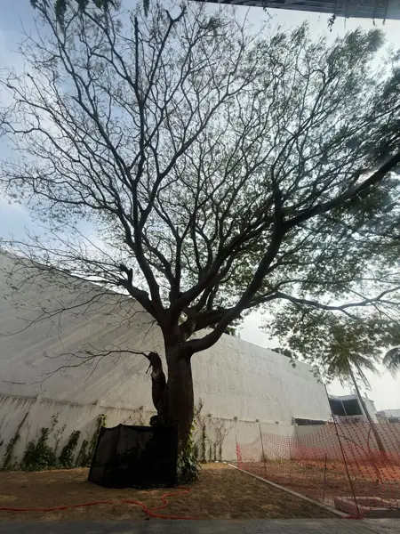 Casa en venta en Jardines de Virginia, Boca del Río — foto 3 de 19