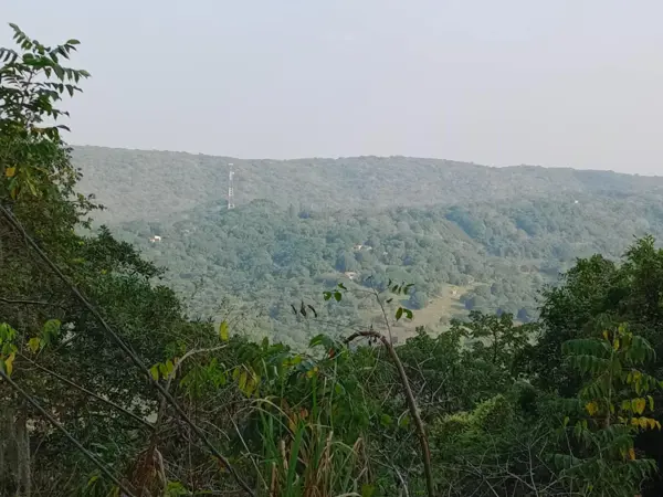Terreno en venta en Gomez Farias, Gómez Farías — foto 3 de 7
