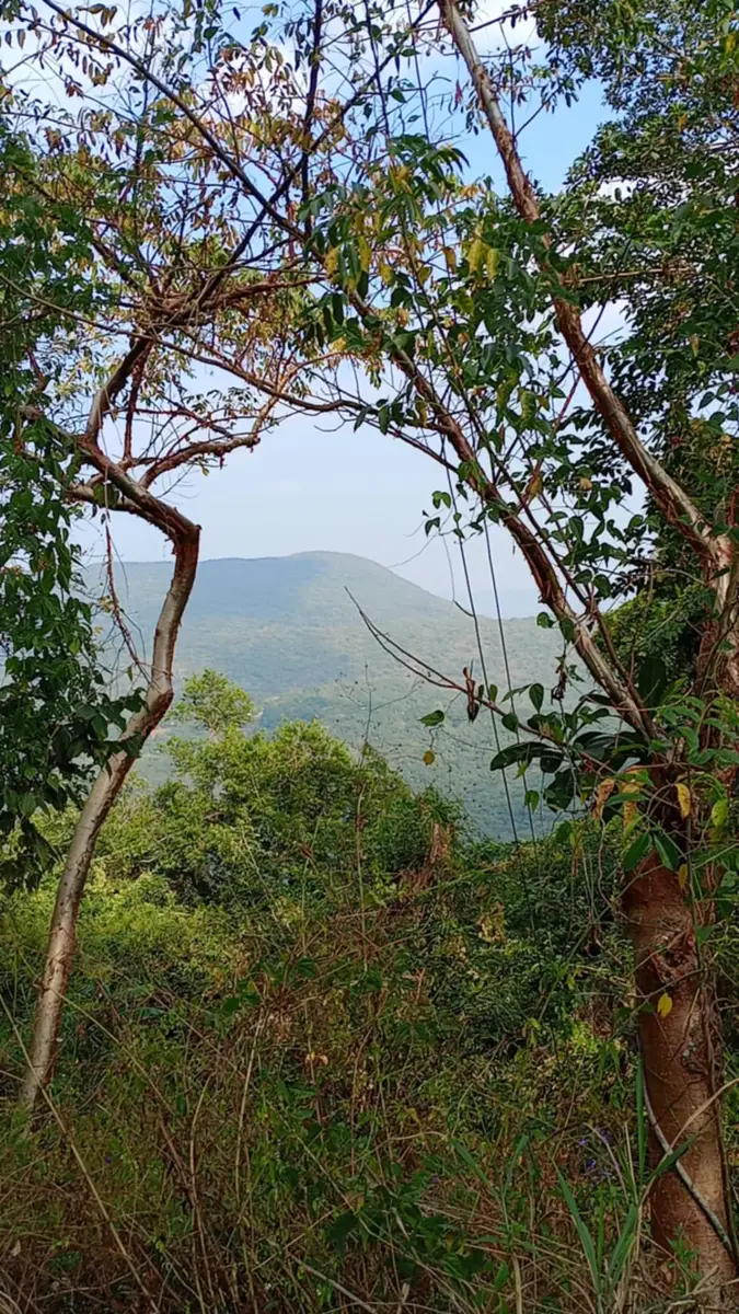 Terreno en venta en Gomez Farias, Gómez Farías — foto 1 de 7