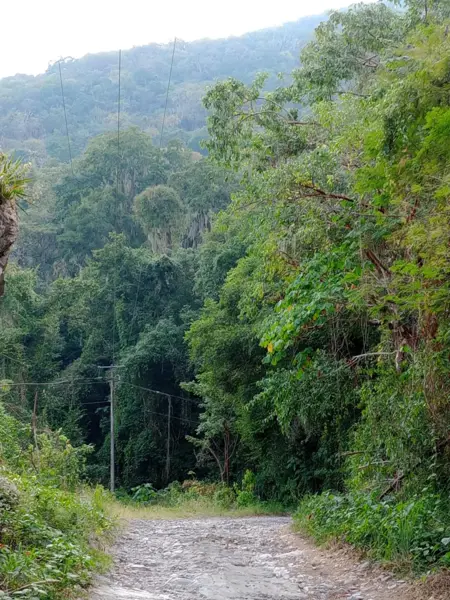 Terreno en venta en Gomez Farias, Gómez Farías — foto 2 de 7