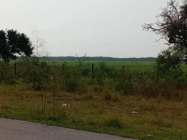 Terreno en venta en La Pesca, Soto la Marina — foto 2 de 6