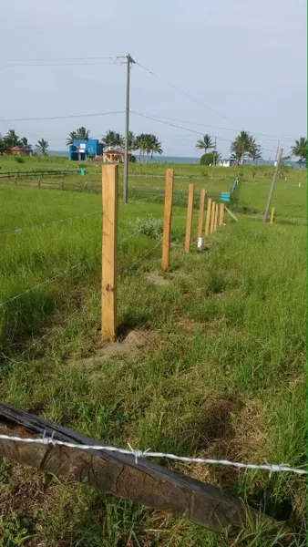 Terreno en venta en La Guadalupe, Tecolutla — foto 3 de 10