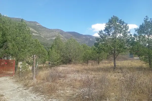 Terreno en venta en San Juanito (San Juanito de los Valdez), Arteaga — foto 3 de 10