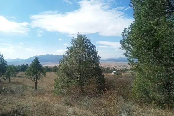 Terreno en venta en San Juanito (San Juanito de los Valdez), Arteaga — foto 2 de 10