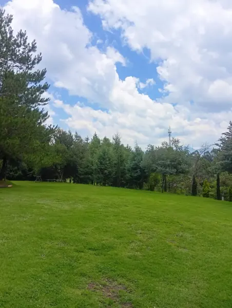 Terreno en venta en Bombatevi (Ejido Santa Cruz Bombatevi), Atlacomulco — foto 2 de 4