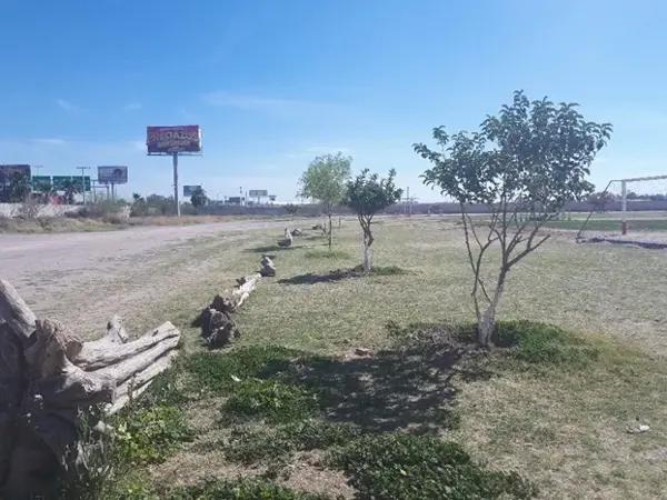 Terreno en renta en Gustavo Diaz Ordaz, Torreón — foto 3 de 5