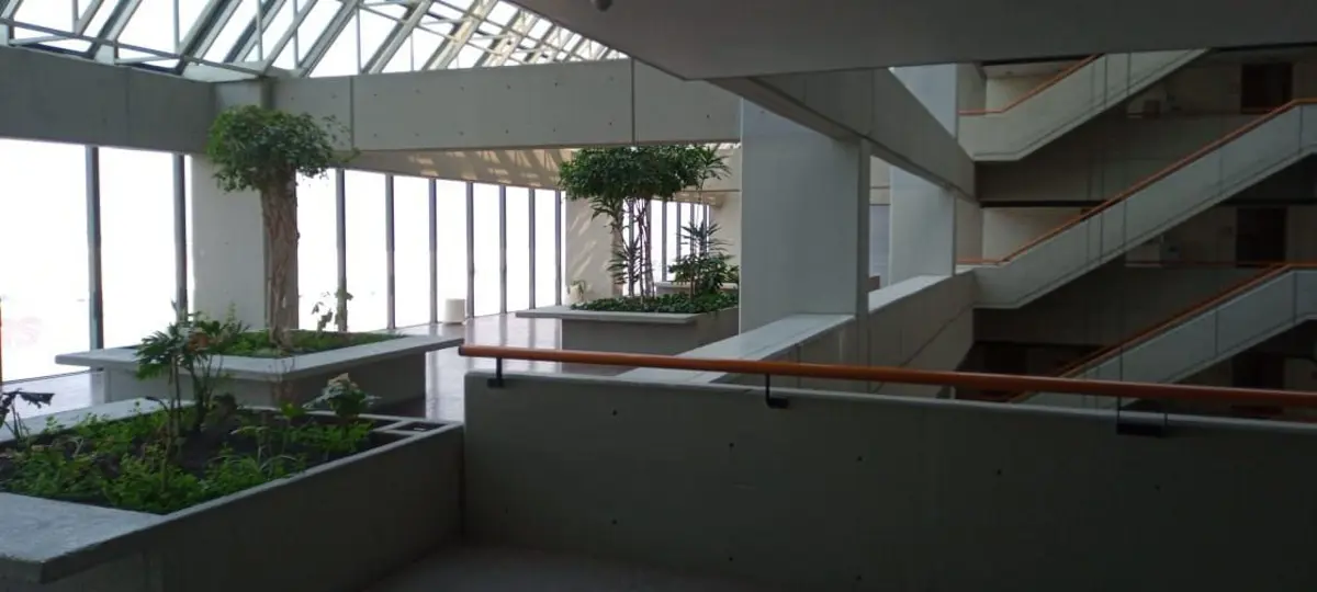 Oficina en renta en Parque del Pedregal, Tlalpan — foto 1 de 10