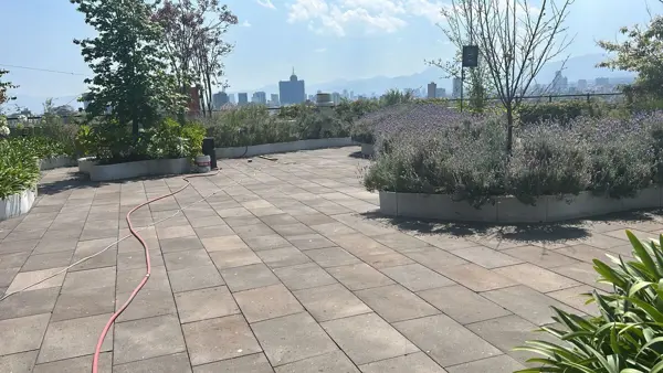 Oficina en renta en Roma Norte, Cuauhtémoc — foto 3 de 21