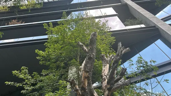 Oficina en renta en Roma Norte, Cuauhtémoc — foto 2 de 50