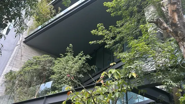 Oficina en renta en Roma Norte, Cuauhtémoc — foto 2 de 50