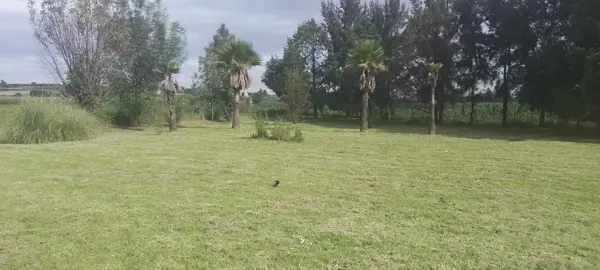 Terreno en venta en Santa Maria Acuexcomac, San Pedro Cholula — foto 3 de 7