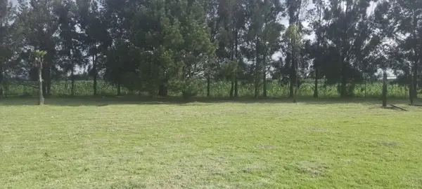 Terreno en venta en Santa Maria Acuexcomac, San Pedro Cholula — foto 2 de 7