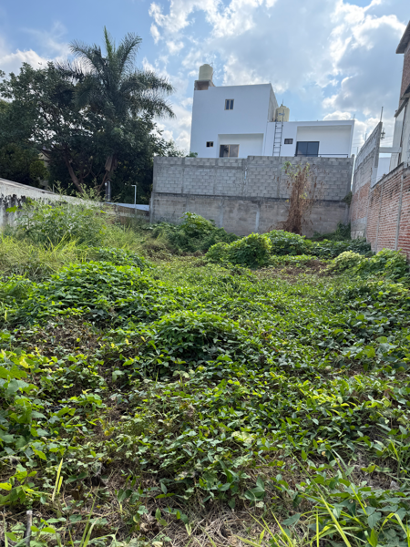 Terreno en renta en Jose Castillo Tielemans, Tuxtla Gutiérrez — foto 2 de 12