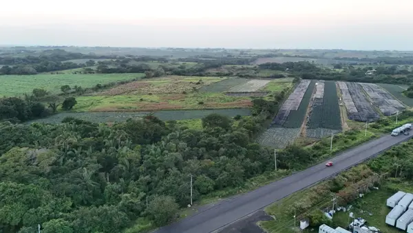 Terreno en La Laguna Paso del Toro, Veracruz