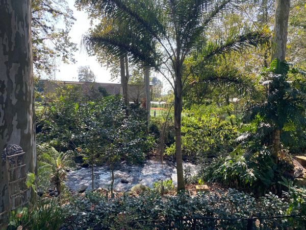 Terreno en venta en Mariano Escobedo, Coatepec — foto 2 de 9