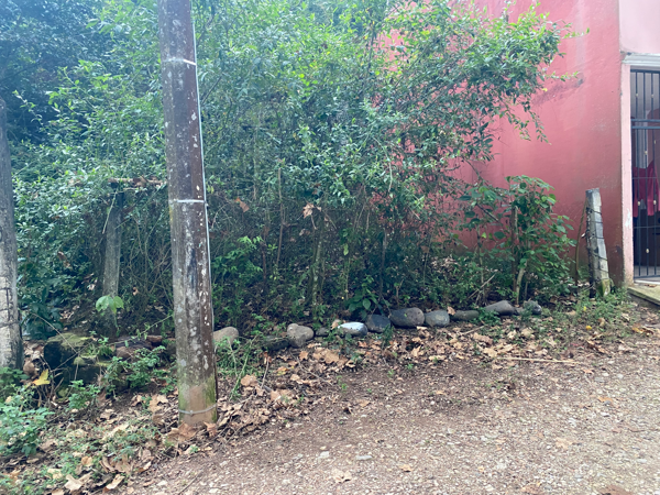 Terreno en venta en Mariano Escobedo, Coatepec — foto 3 de 9