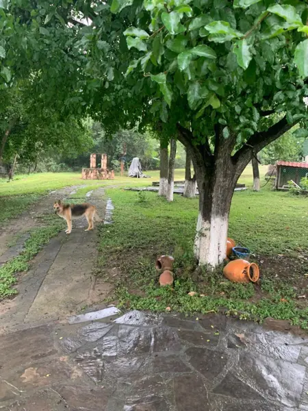 Quinta en Venta en Huajuquito o los Cavazos, Santiago, Nuevo León 4