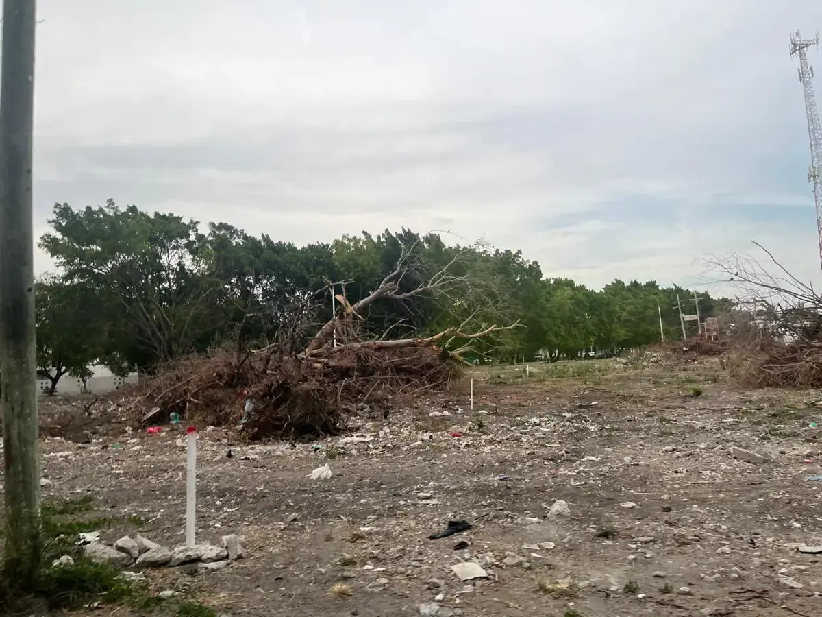 Terreno en renta en Ciudad Mante Centro, El Mante — foto 1 de 4