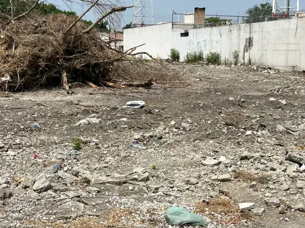 Terreno en renta en Ciudad Mante Centro, El Mante — foto 3 de 4