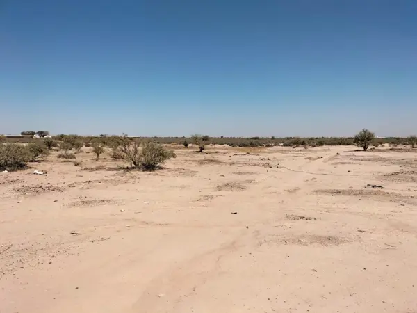 Terreno en venta en Pastor Rouaix, Gómez Palacio — foto 3 de 16
