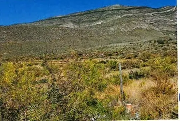 Terreno en venta en Loma Alta, Arteaga — foto 3 de 5