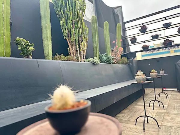Departamento en venta en Roma Norte, Cuauhtémoc — foto 3 de 39