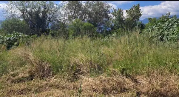 Terreno en Venta en Sección Buenavista, Allende, Nuevo León 2